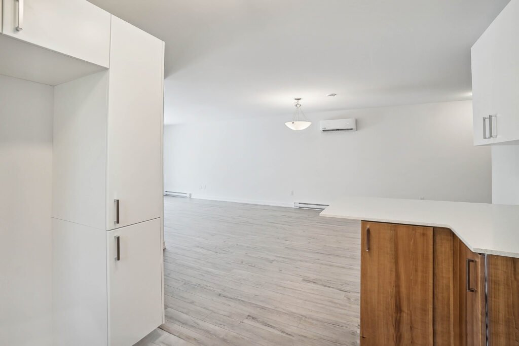 Cuisine et salon d'un appartement Oasis, rue Dupuis (Templeton)